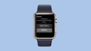 music controls on apple watch