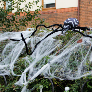 Fake spider web and spider on top of a hedge