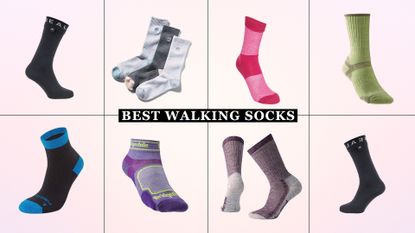 a collage of w&h's best walking socks picks on a pink background