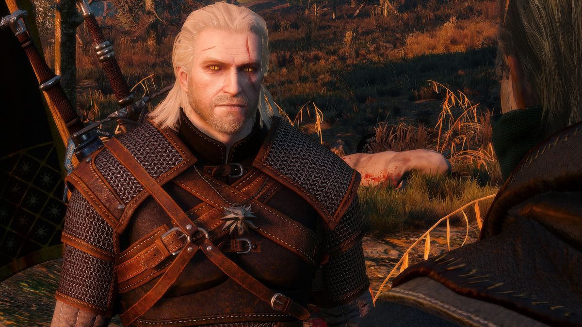 The Best Witcher 3 Mods Pc Gamer
