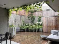 a courtyard garden with plants in a raised planter