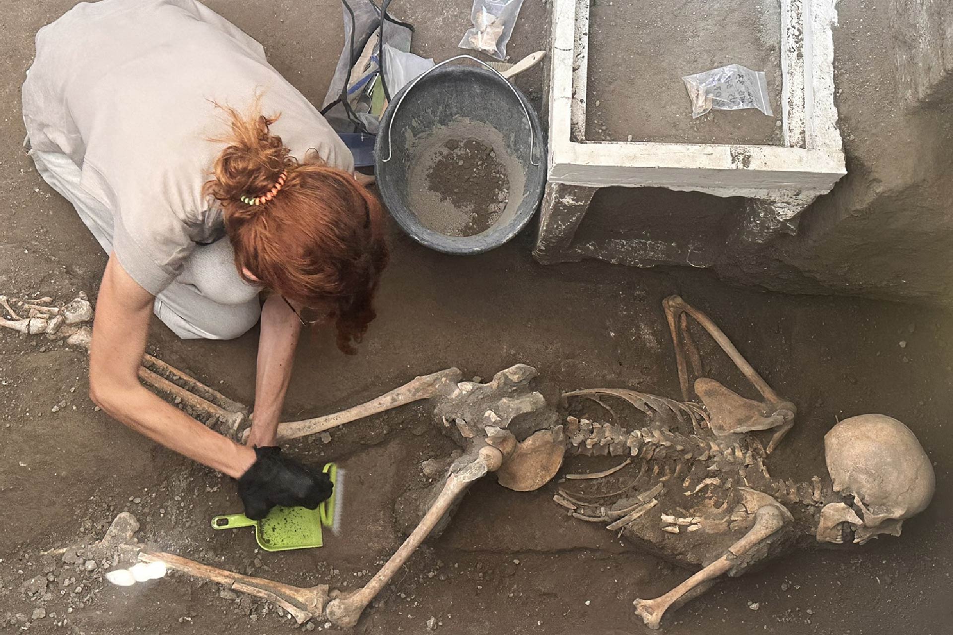 An archaeology cleaning the area around the skeleton 