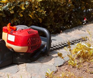 Hedge trimmer next to weeds