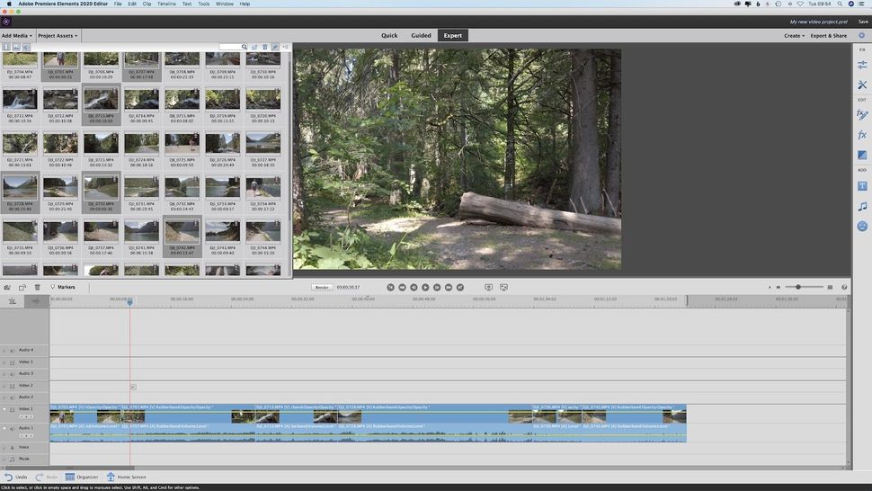 difference between adobe premiere pro and elements
