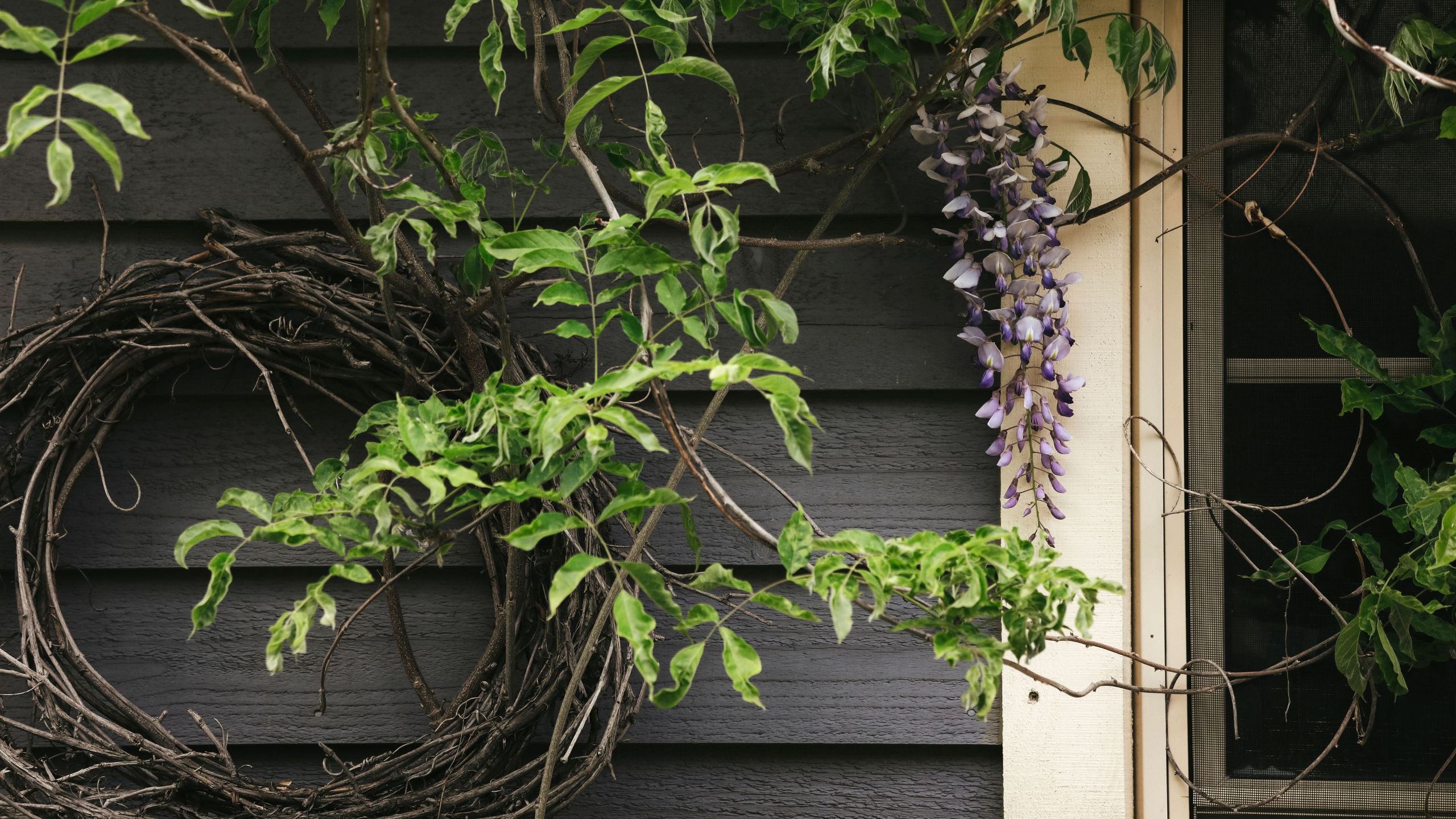 David Domoney doesn’t want you to throw your plant prunings away this month – there’s a clever way to turn them into something beautiful