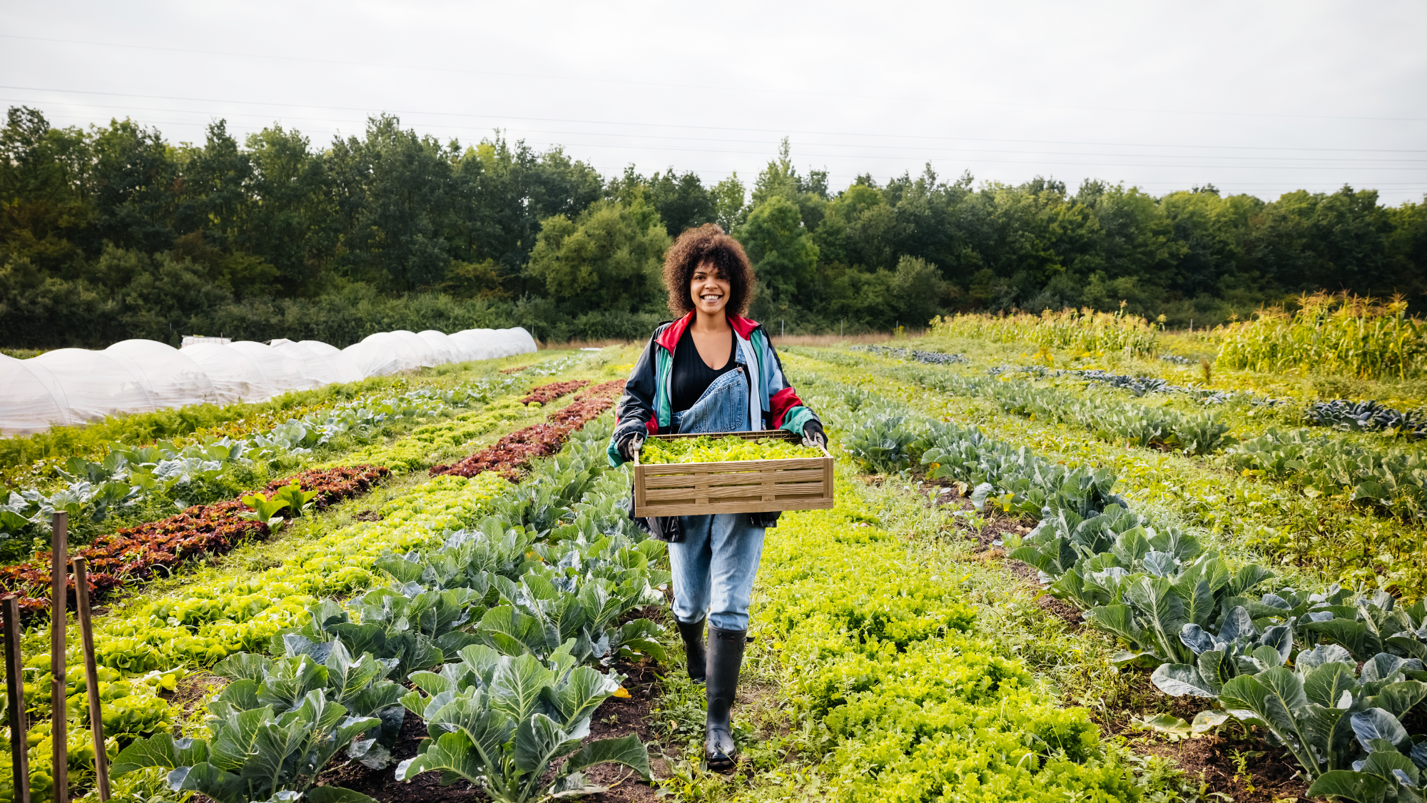 farm to face beauty