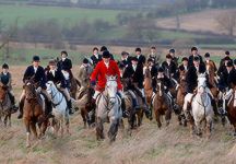 hunting-10.jpg