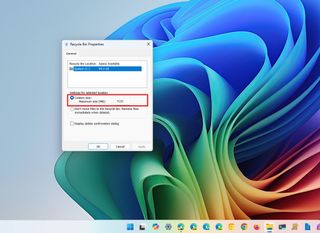 Recycle Bin maximum size