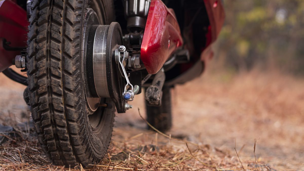 Rear drum brake