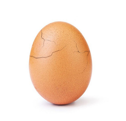World Record Egg. 