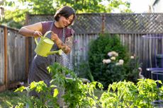 A happy woman watering her plants with a lime green watering can in her garden.