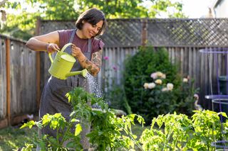 8 easy gardening ideas that look expensive (from a beginner)