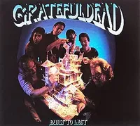 Built To Last (Arista, 1989)