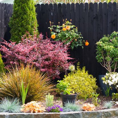 Fall garden border