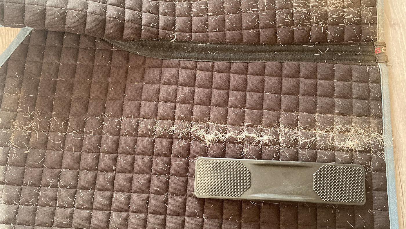 saddlepad after