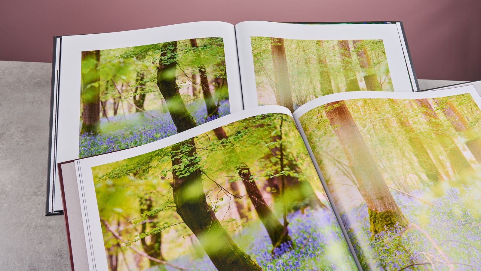 Comparing woodland scenes in the Blurb photo book at the front and the Papier photo book at the back.