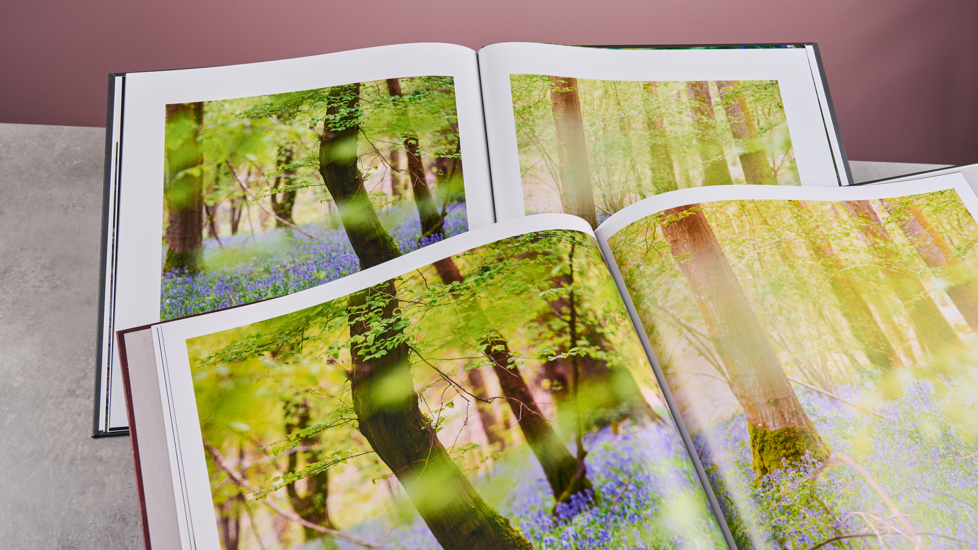 Comparing woodland scenes in the Blurb photo book at the front and the Papier photo book at the back.