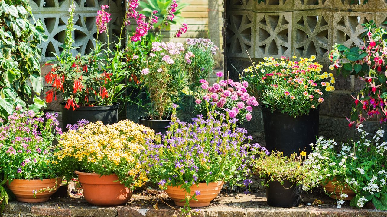 How to up spring containers for summer