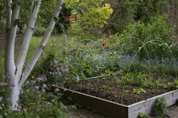 Planning a kitchen garden & Designing a kitchen garden | Country