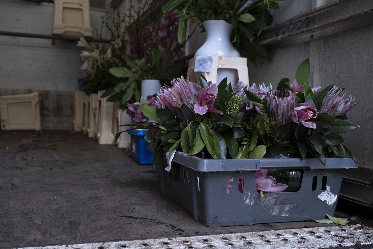 Fujifilm X100V