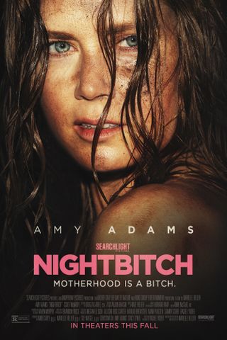 Nightbitch poster