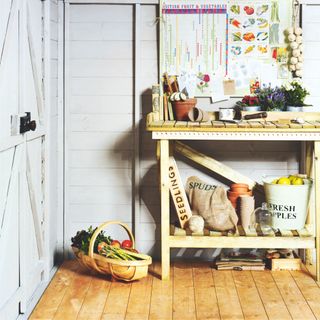 Interior of a light grey shed with a potting bench full of gardening tools and vegetables