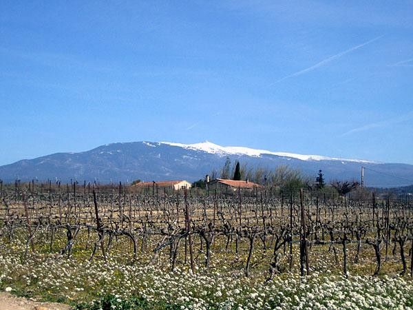 The Mont Ventoux from the valley with the snow cap clearly visible. Brrrrrrr.