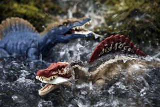 GuruShots - February 2026