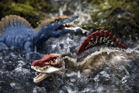 GuruShots - February 2026