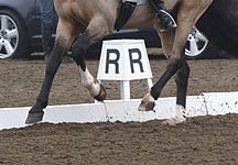 Dressage-legs-R.jpg