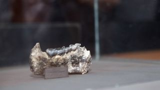 The earliest-known fossil from the Homo genus, this piece of jawbone, was discovered at a site called Ledi-Geraru in the Afar Regional State, Ethiopia.