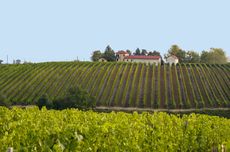 Banfi Piemonte winery