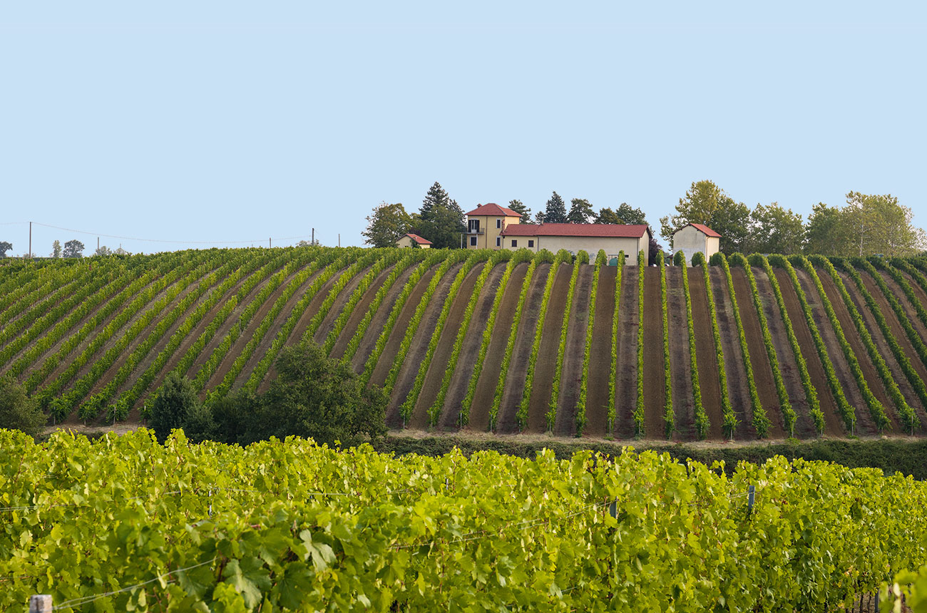 Banfi Piemonte winery