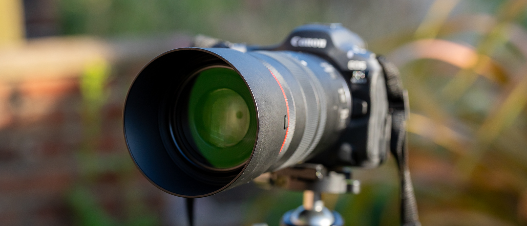 Canon RF 100mm f/2.8L IS USM macro lens