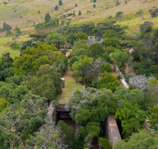 south africa house taken over by nature seen from above