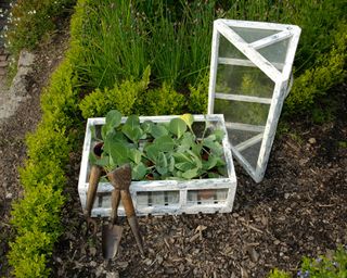 old wooden crates turned into a mini greenhouse for a vegetable plot