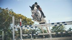 Showjumping-Training-LR.jpg