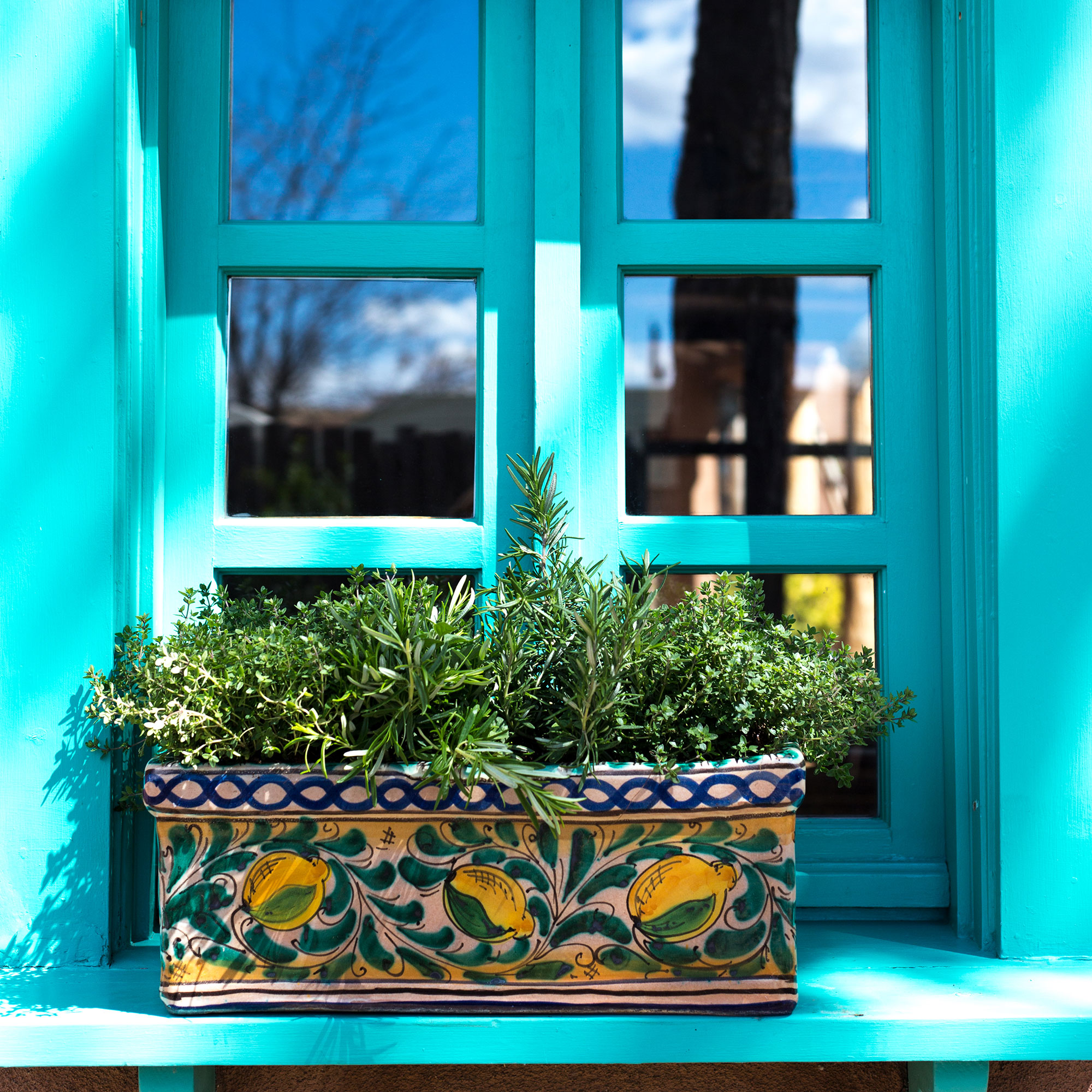 Herbs in painted window box