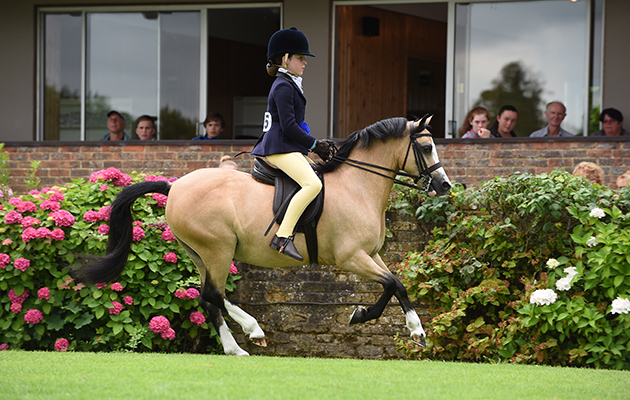 PIPPA DUNCAN riding GRUGAUR SKYLARK, winner in The Young Riders M &amp;amp; M Championship during the Royal International Horse Show at The All England Jumping Course, Hickstead, West Sussex, UK on 27 July 2016