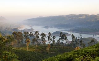 view from Ceylon Tea Trails