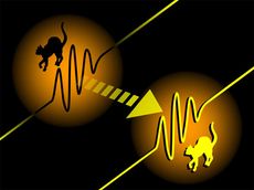 an illustration of the quantum teleportation of 'Schrodinger's Cat' wave packets of light from a past physics study.