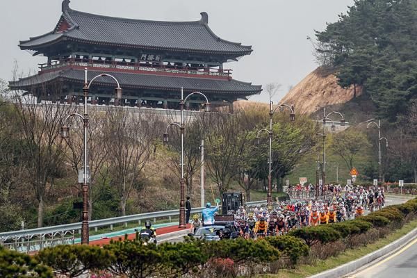 The peloton in action during stage 2 of the 2012 Tour de Korea.