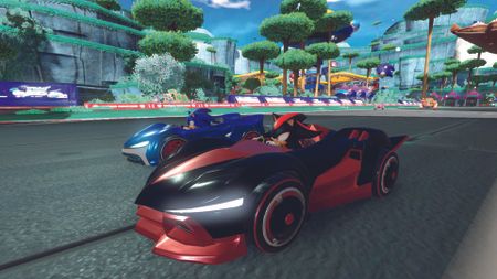 An image of Shadow and Sonic from Team Sonic Racing
