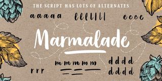 Calligraphy fonts: Organika