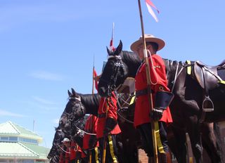 A line of RCMP officers standing next to their horses