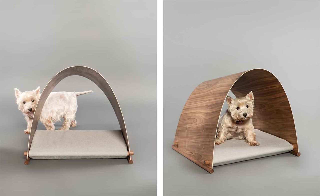 Barkitecture dog kennel entry by foster &amp; partners