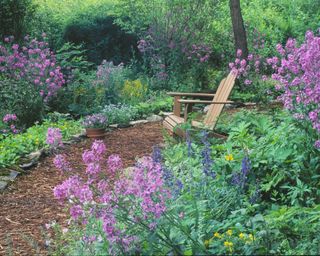 wood chip pathway leading to a shade garden with an Adirondack chair