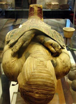 An Egyptian pharaoh mummy found in a tomb