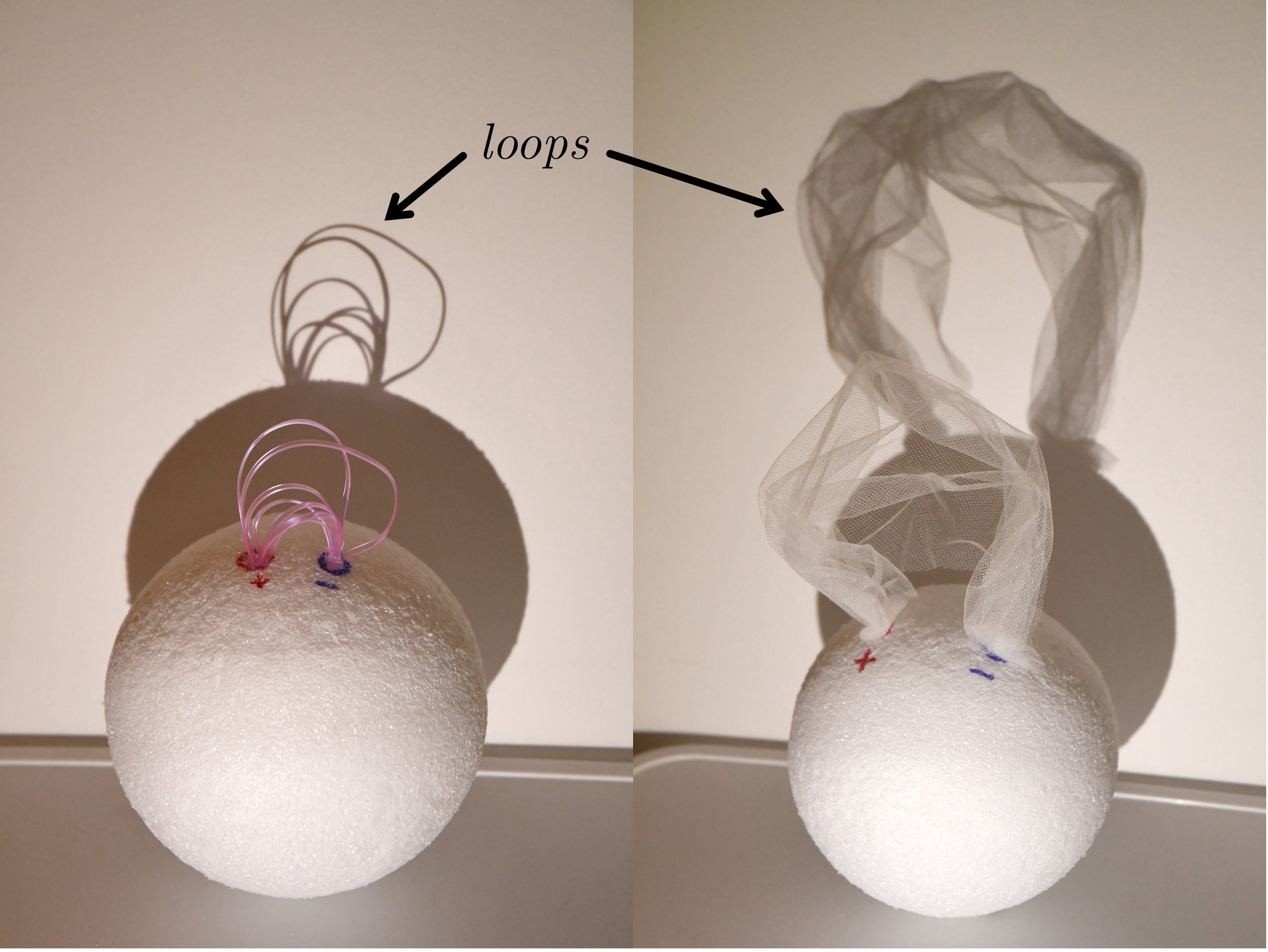 This simplified model compares the “garden hose” model of coronal loops (left) to the coronal veil model (right).