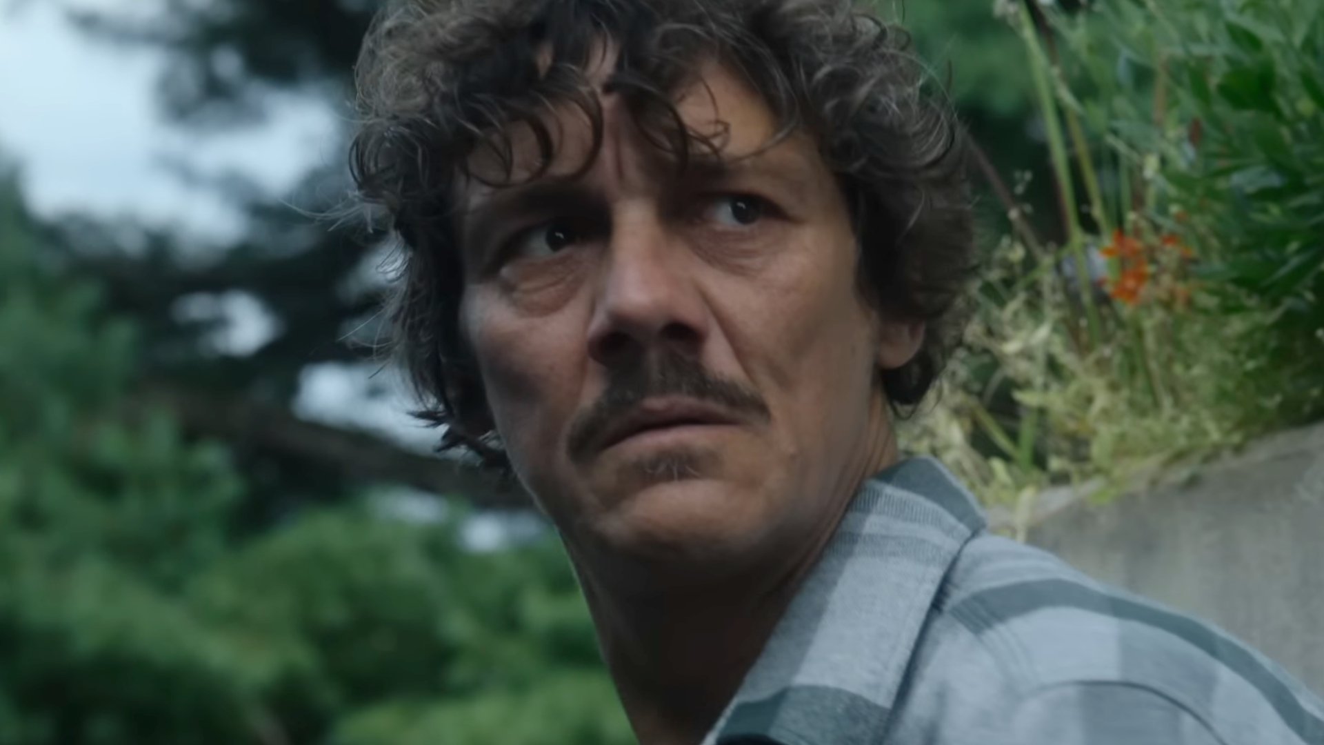 The Hunt on Apple TV